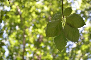 image DSC_0214.jpg (5.3MB)