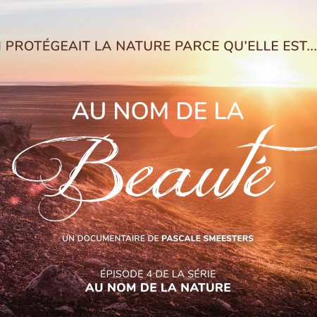 [Ciné-débat] Au nom de la beauté