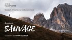 thumbnail_Affiche_Sauvage.jpg