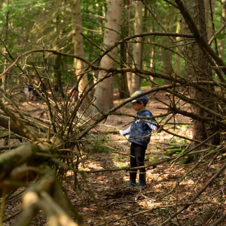 Stage - Il était une fois en forêt [4-5 ans]