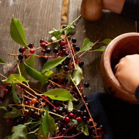 Stage - Les Plantes qui soignent [4-5 ans]