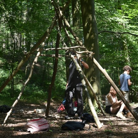 Stage - Une cabane dans les bois, c'est magique ! [6-8 ans]